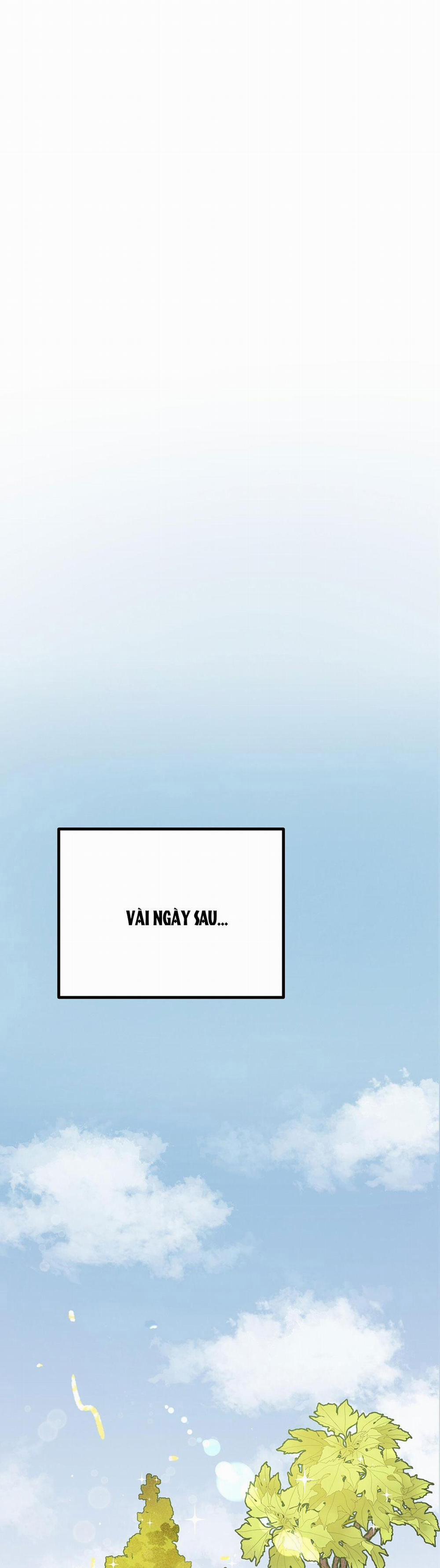 Honey Bear 4 trang 21