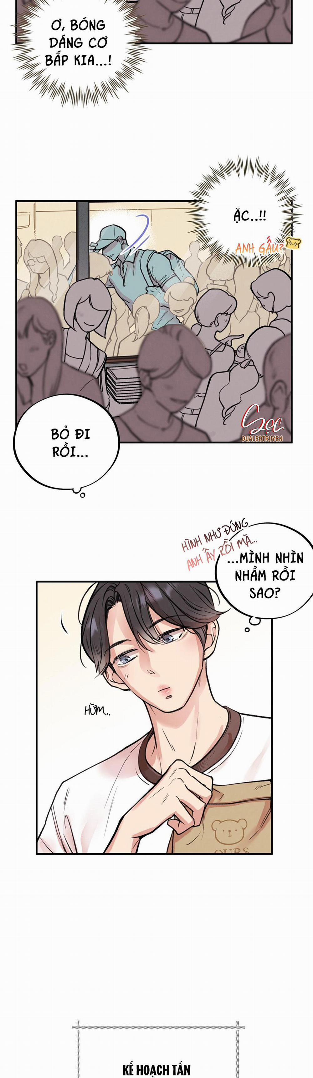 Honey Bear 4 trang 25