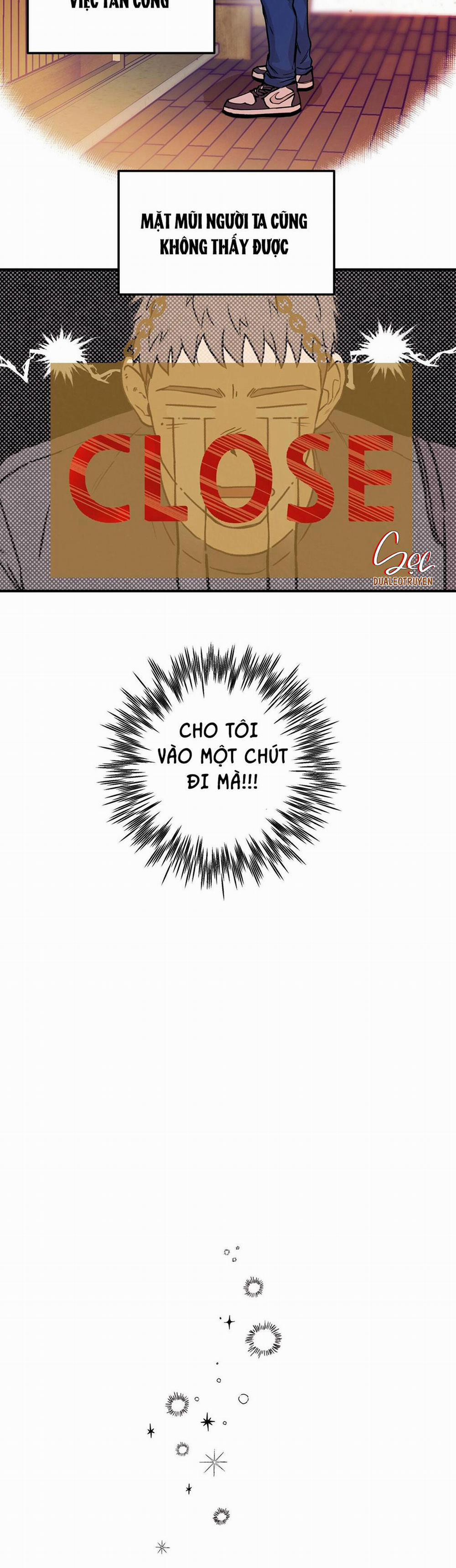 Honey Bear 4 trang 28