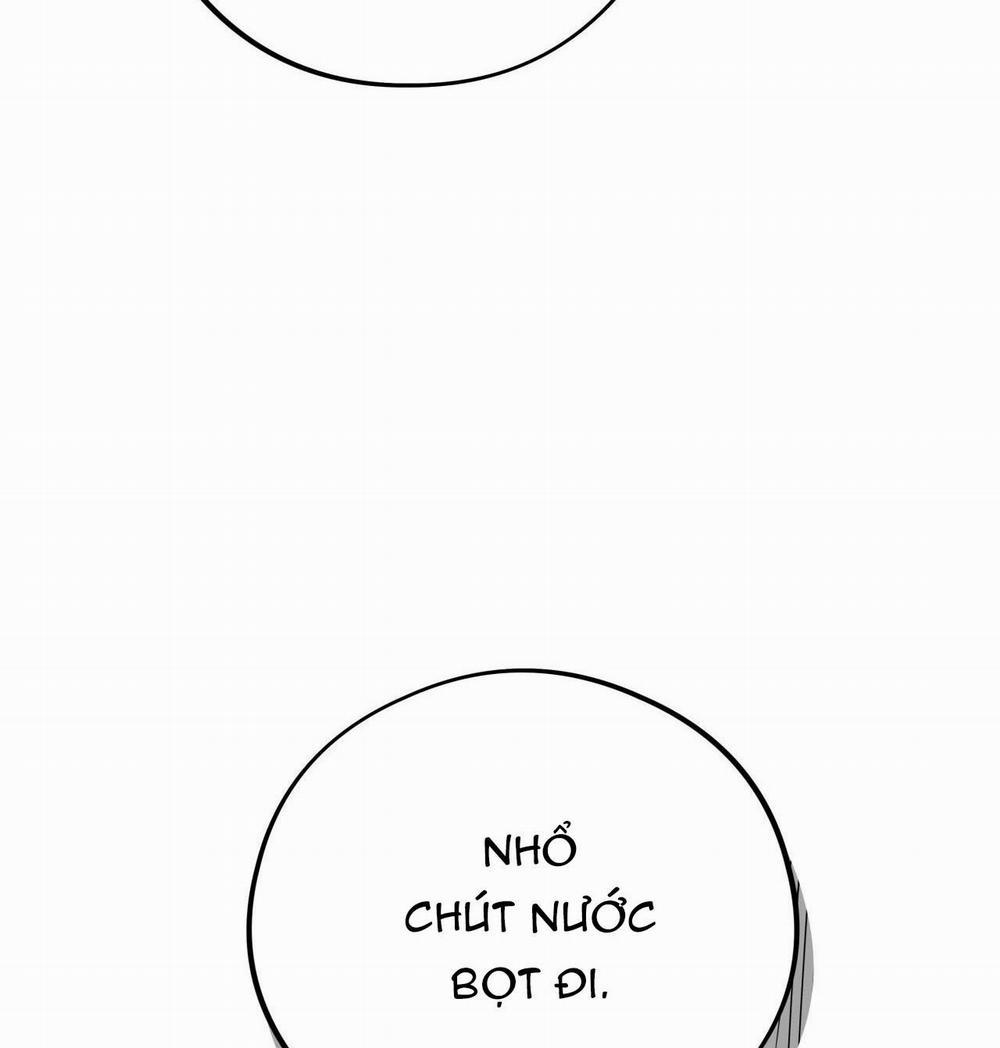 Honey Bear 40 trang 116