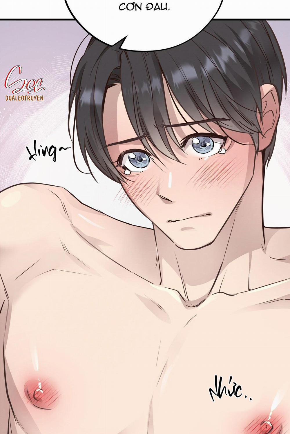 Honey Bear 40 trang 82