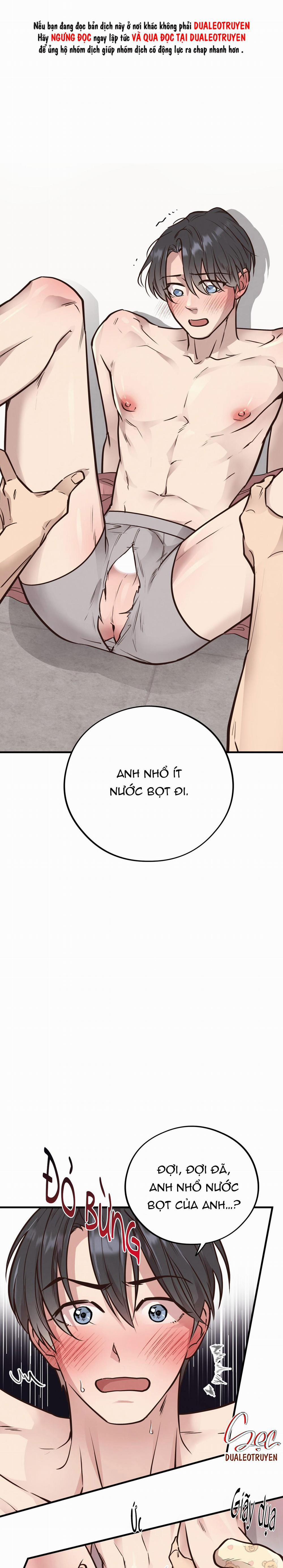 Honey Bear 41 trang 0