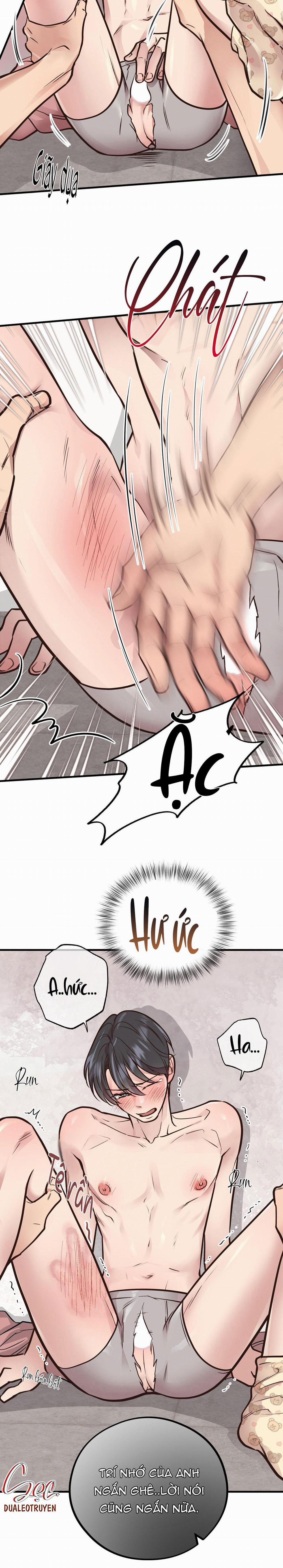 Honey Bear 41 trang 1