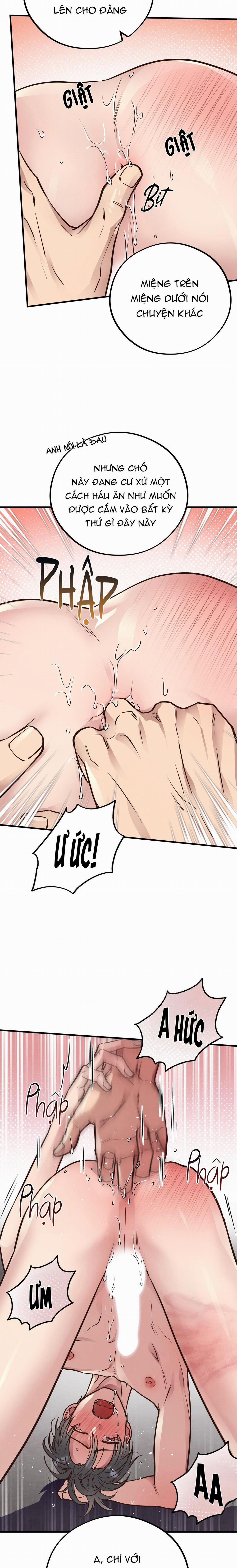 Honey Bear 41 trang 10