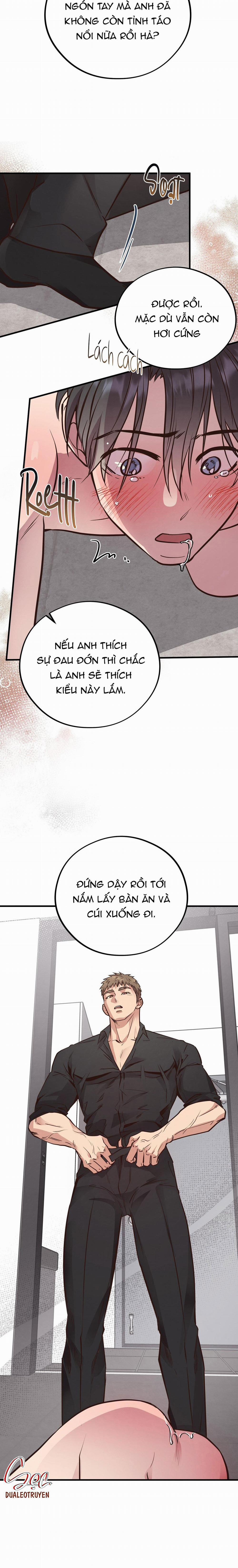 Honey Bear 41 trang 11