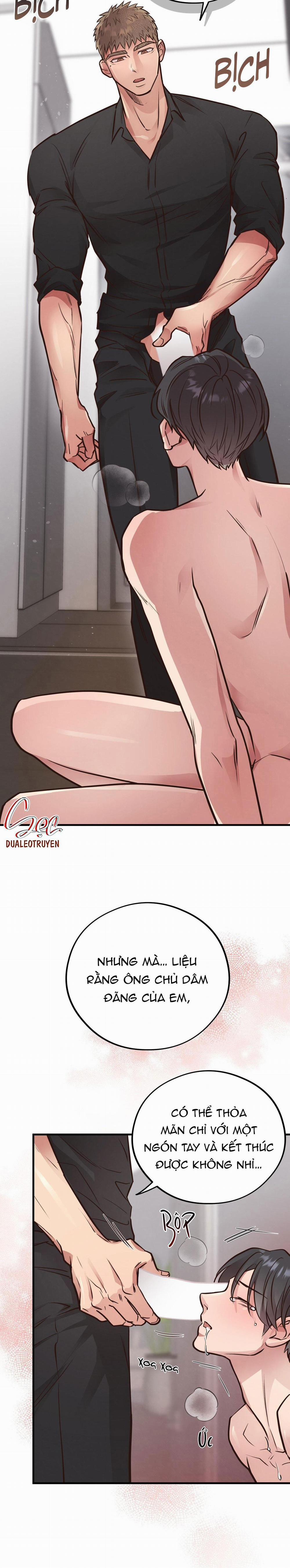 Honey Bear 41 trang 13