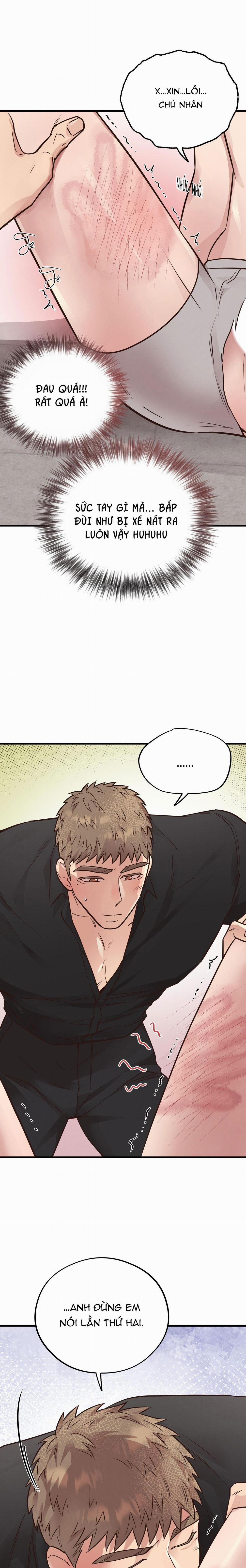 Honey Bear 41 trang 2