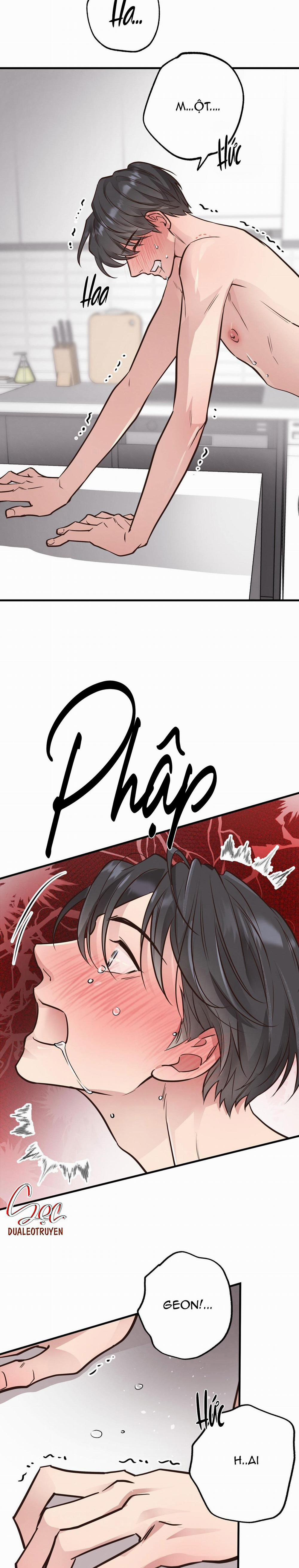 Honey Bear 41 trang 21