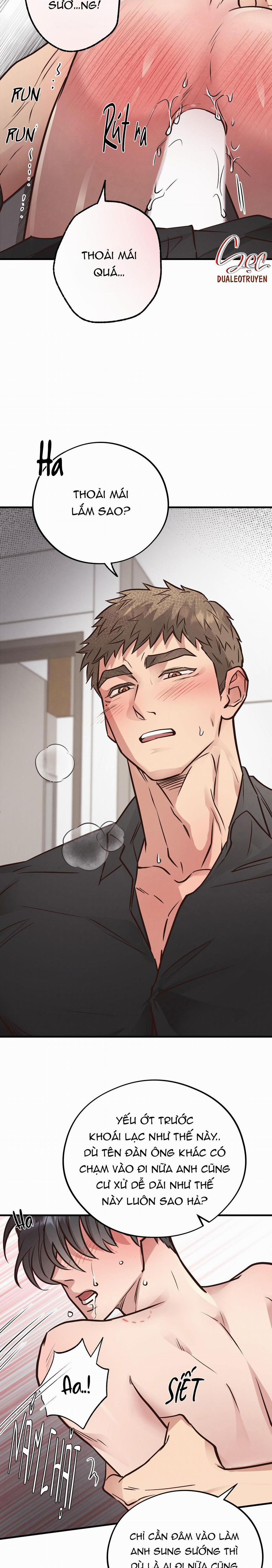 Honey Bear 41 trang 25