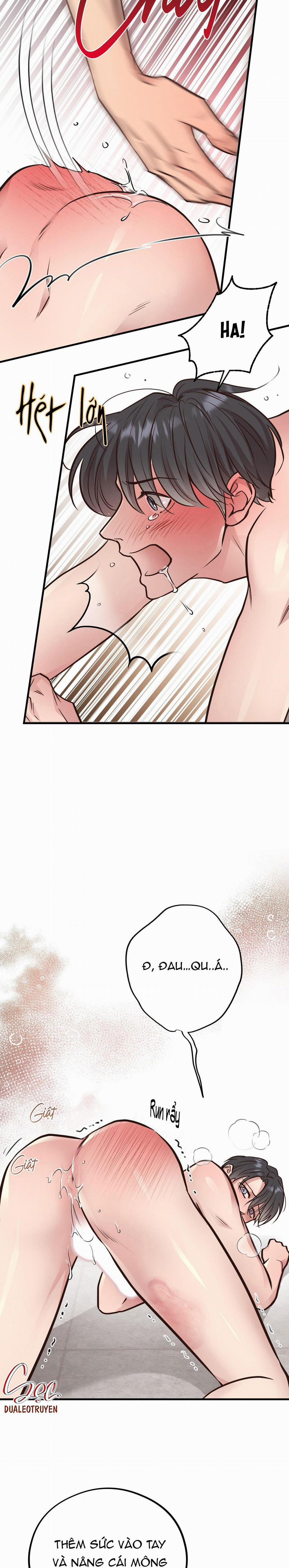 Honey Bear 41 trang 9