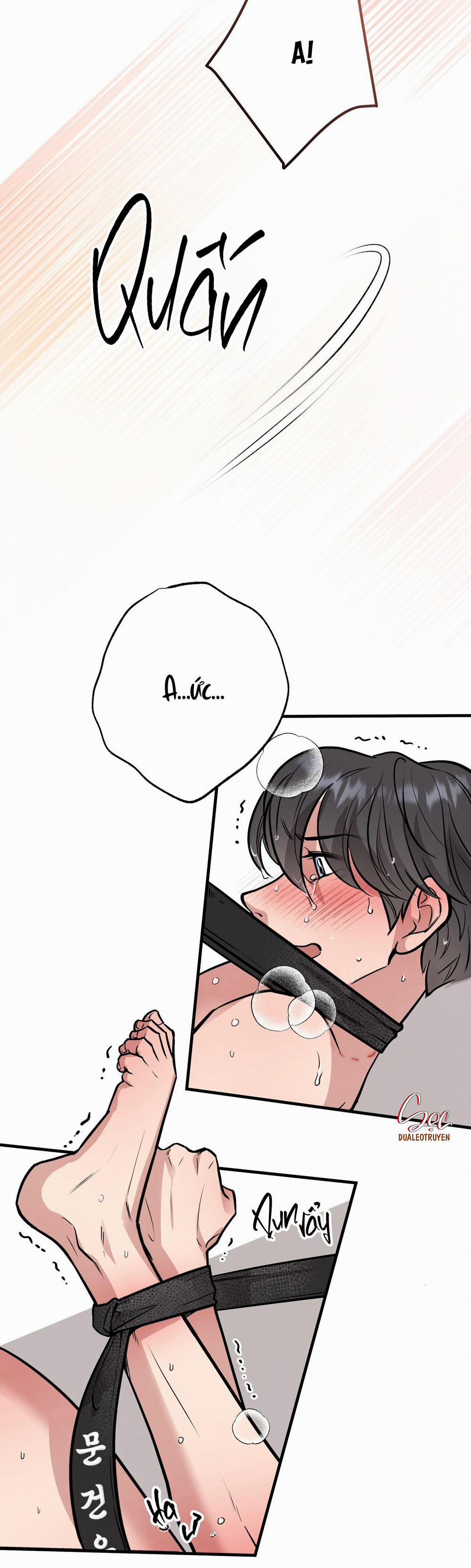 Honey Bear 42 trang 15