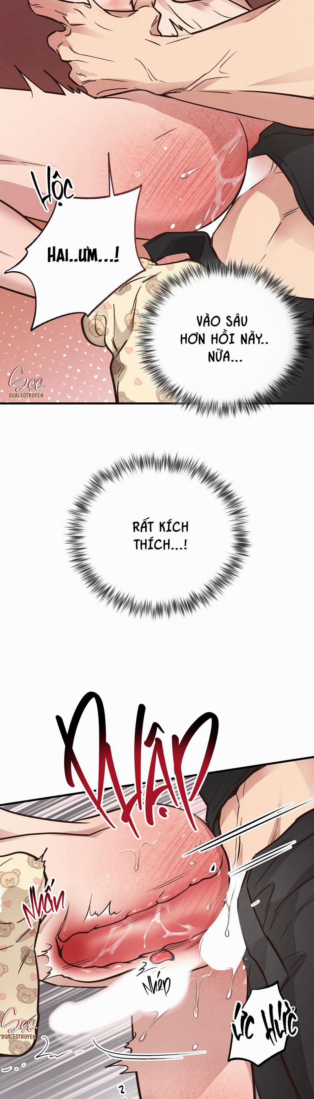 Honey Bear 42 trang 2