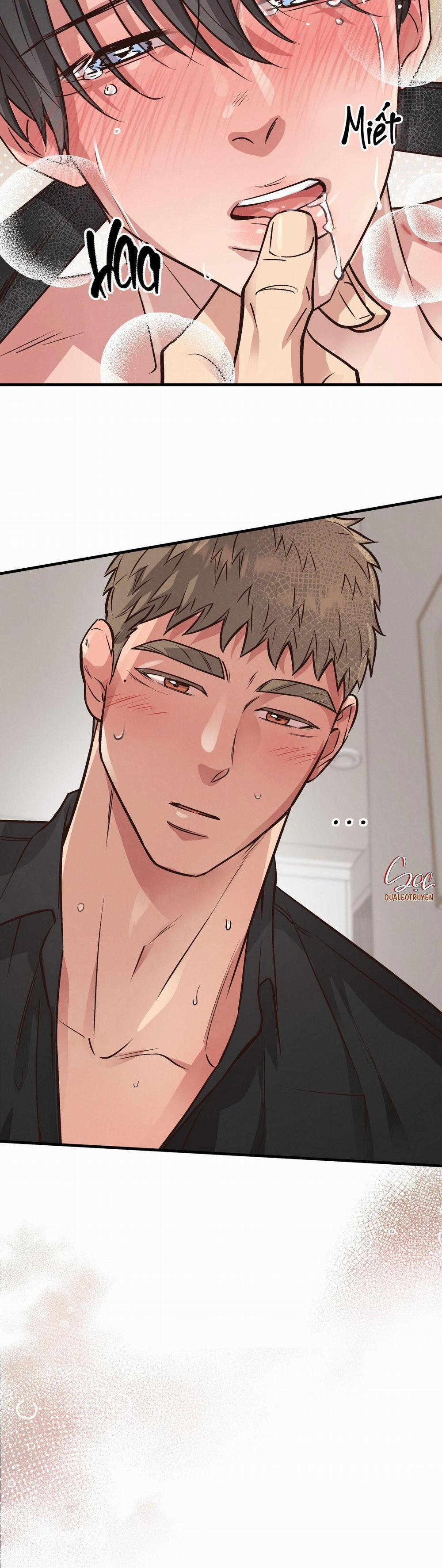 Honey Bear 42 trang 25