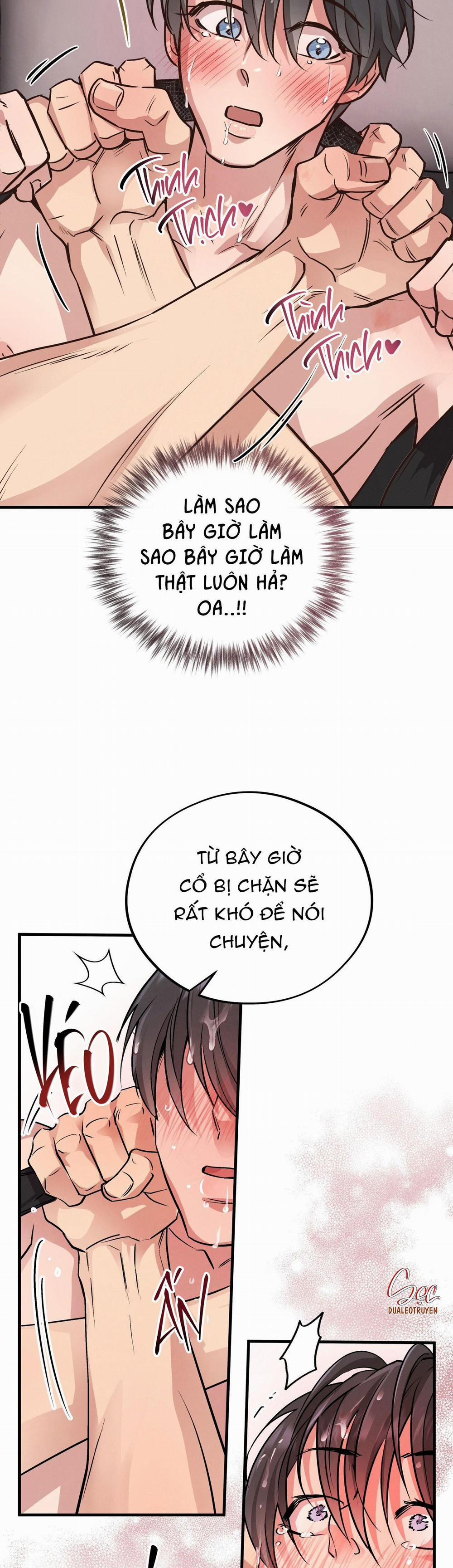 Honey Bear 42 trang 33