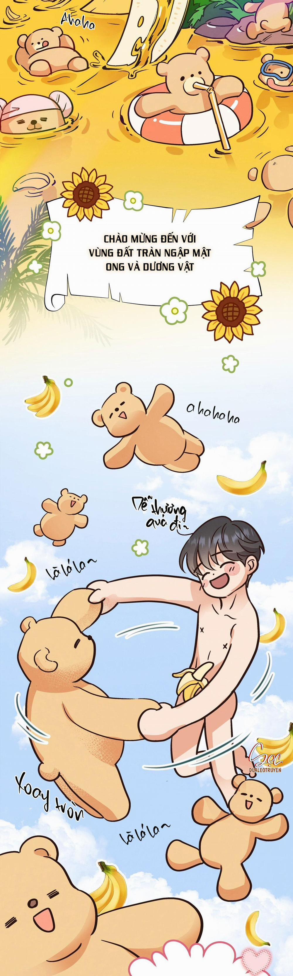 Honey Bear 42 trang 43