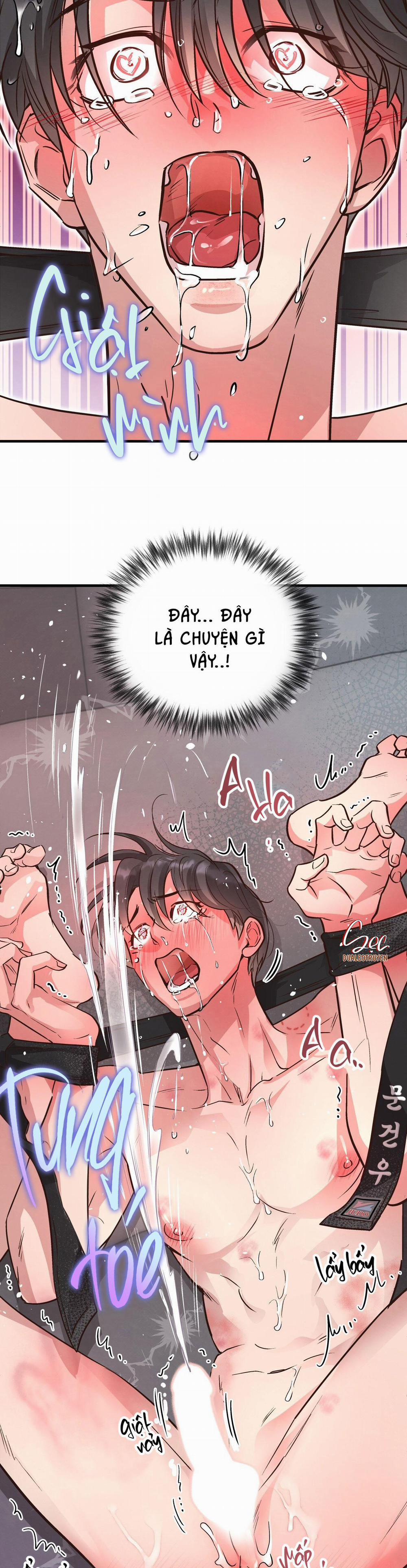 Honey Bear 42 trang 47