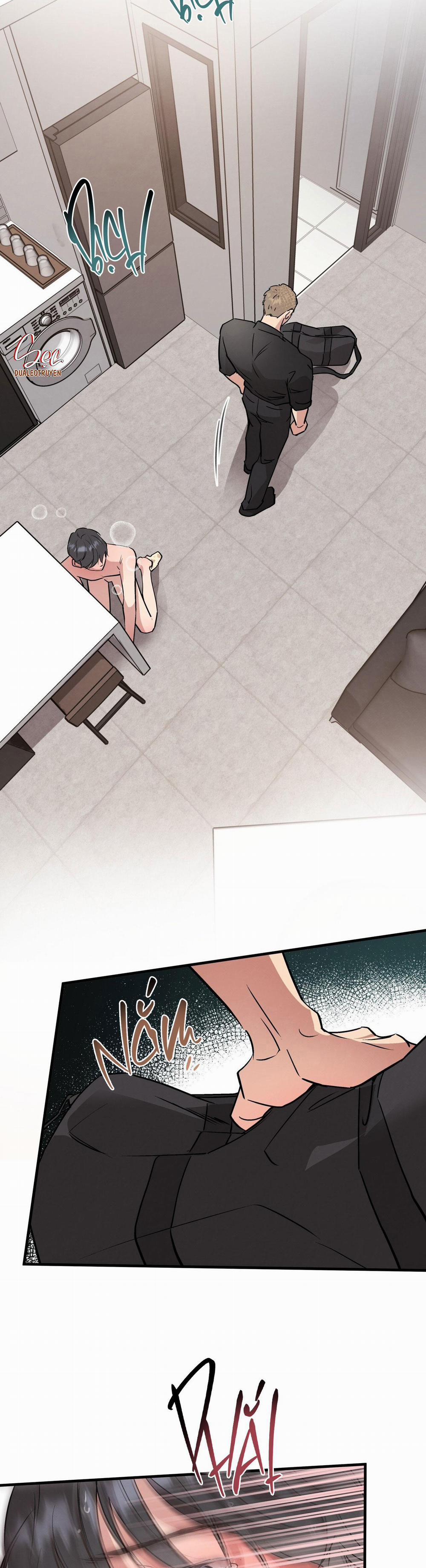 Honey Bear 42 trang 9