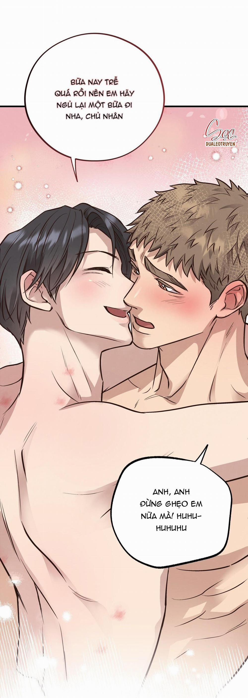 Honey Bear 43 trang 13