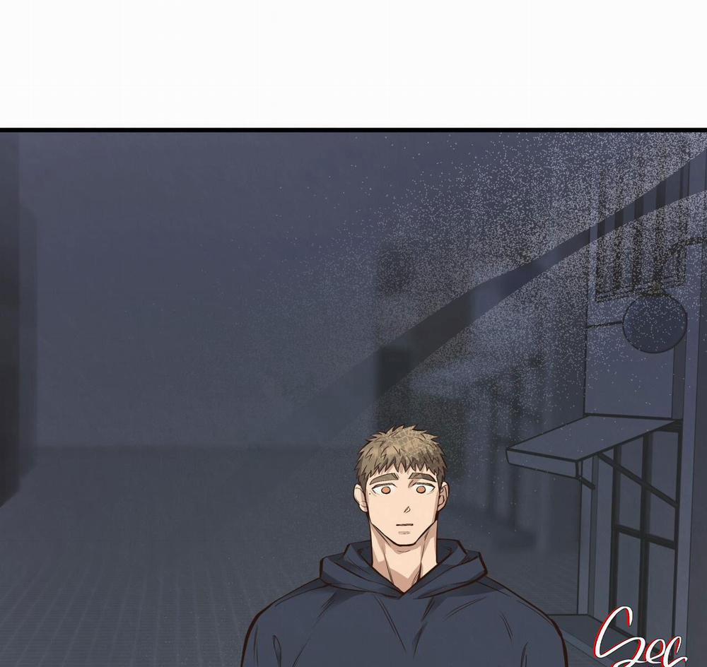 Honey Bear 44 trang 132