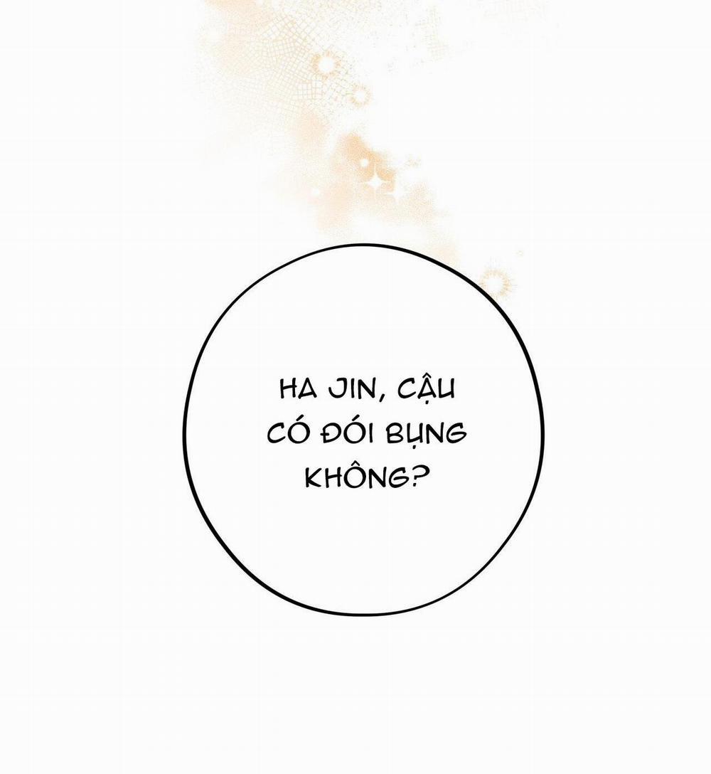 Honey Bear 44 trang 66