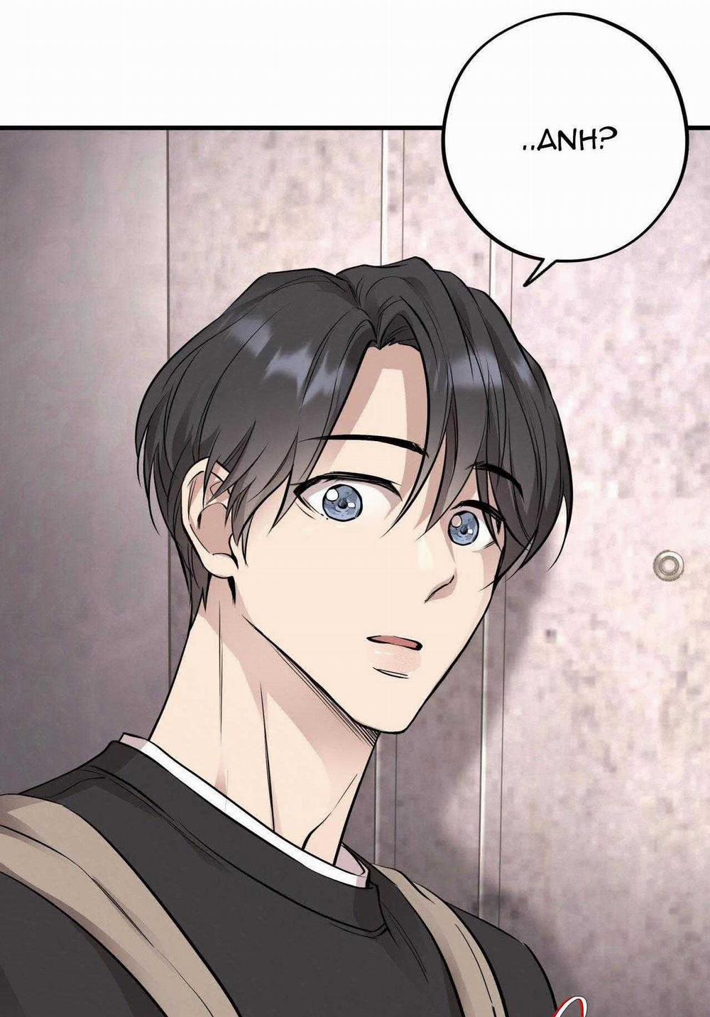 Honey Bear 45 trang 65