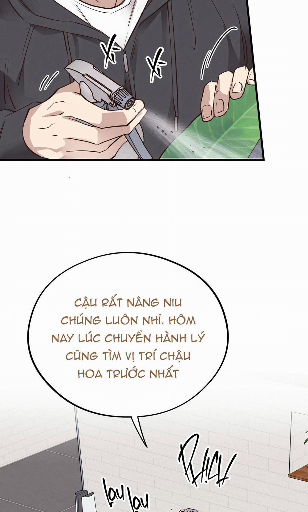 Honey Bear 46 trang 29