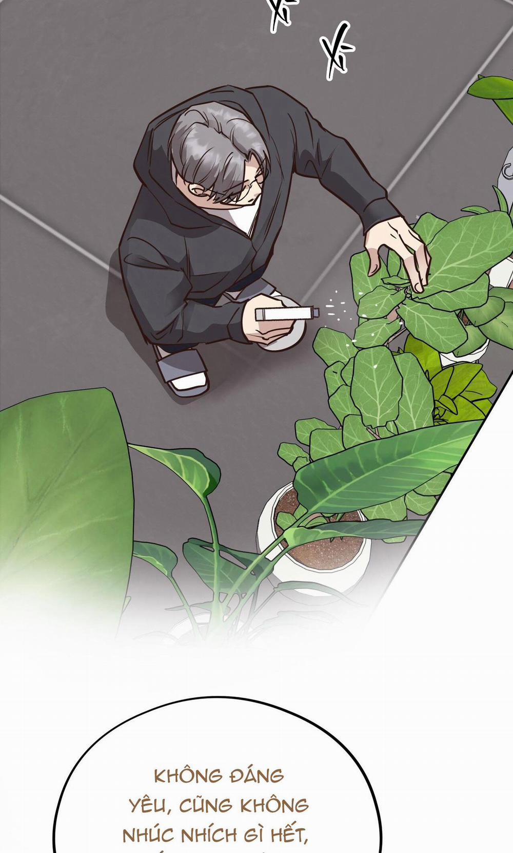 Honey Bear 46 trang 31