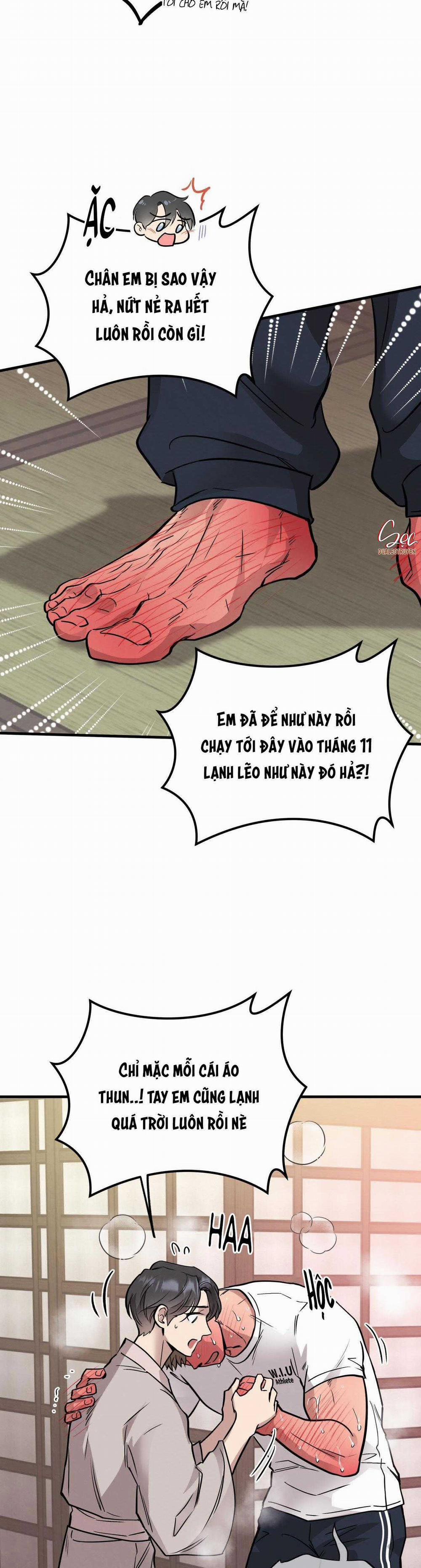 Honey Bear 48 trang 11