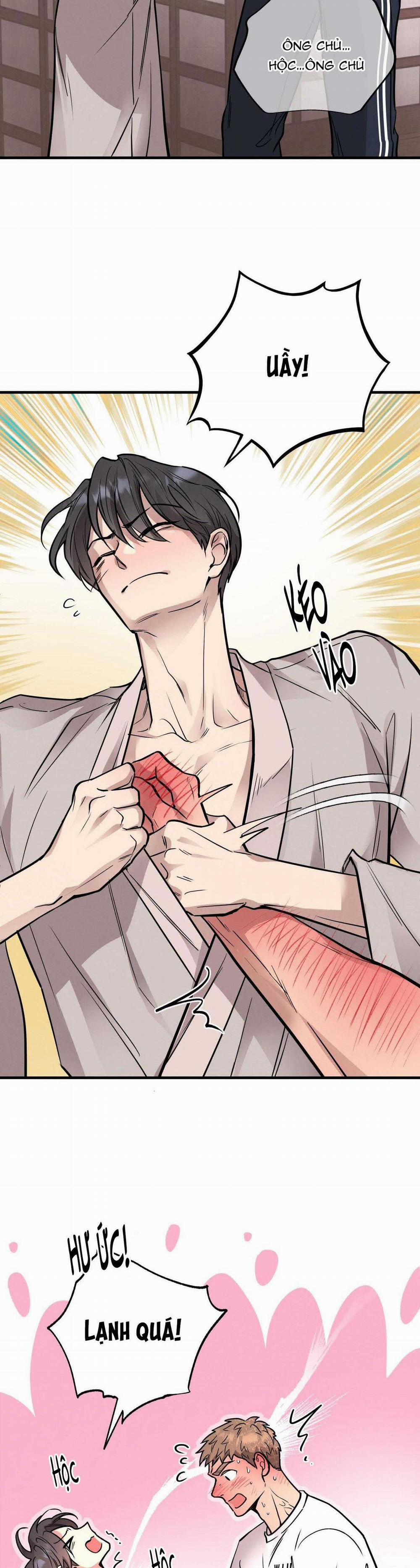 Honey Bear 48 trang 12