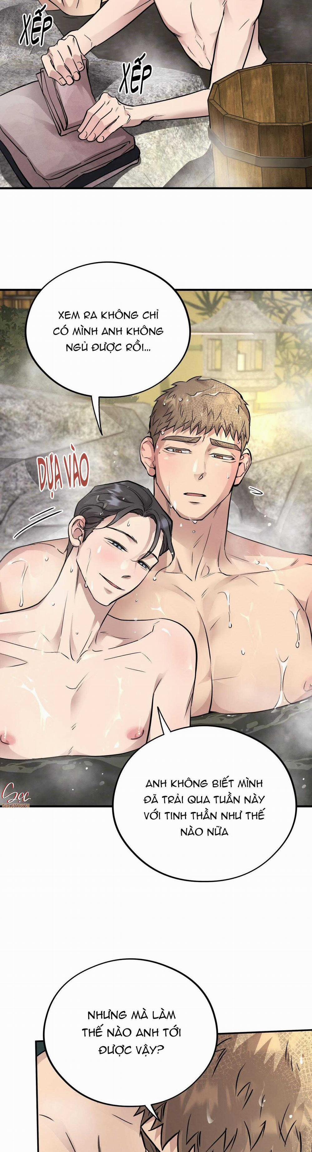 Honey Bear 48 trang 21