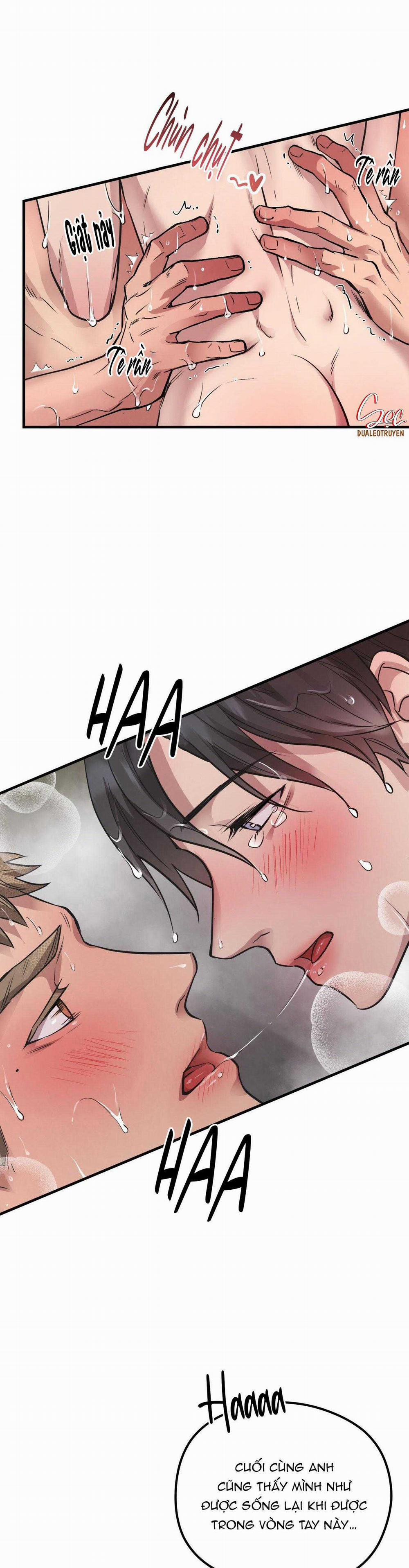 Honey Bear 48 trang 39