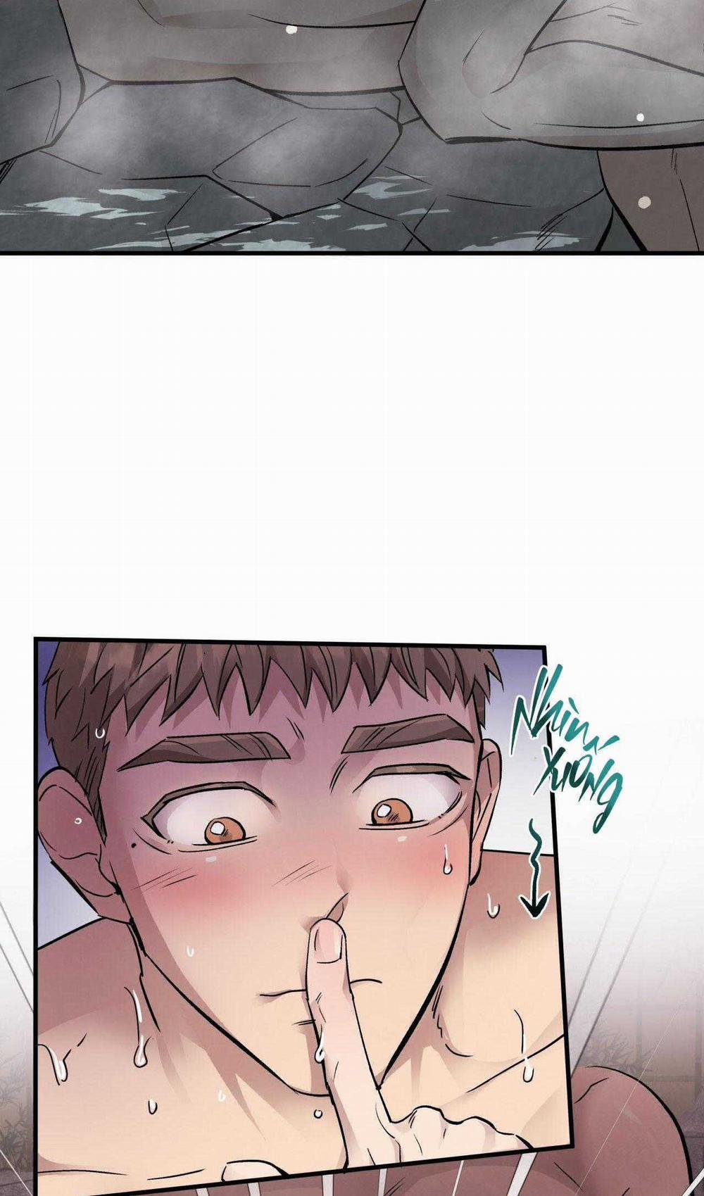 Honey Bear 49 trang 17