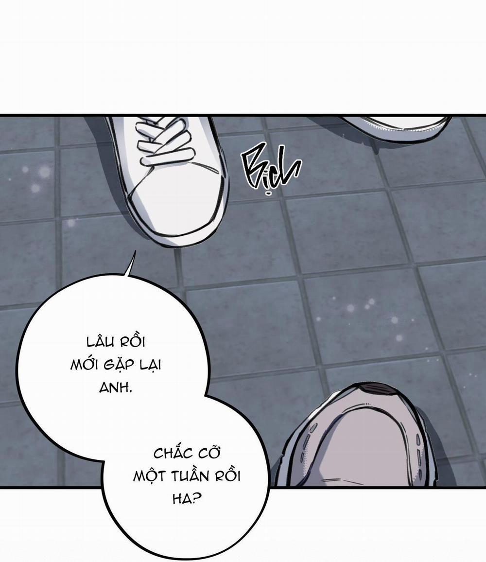 Honey Bear 5 trang 11