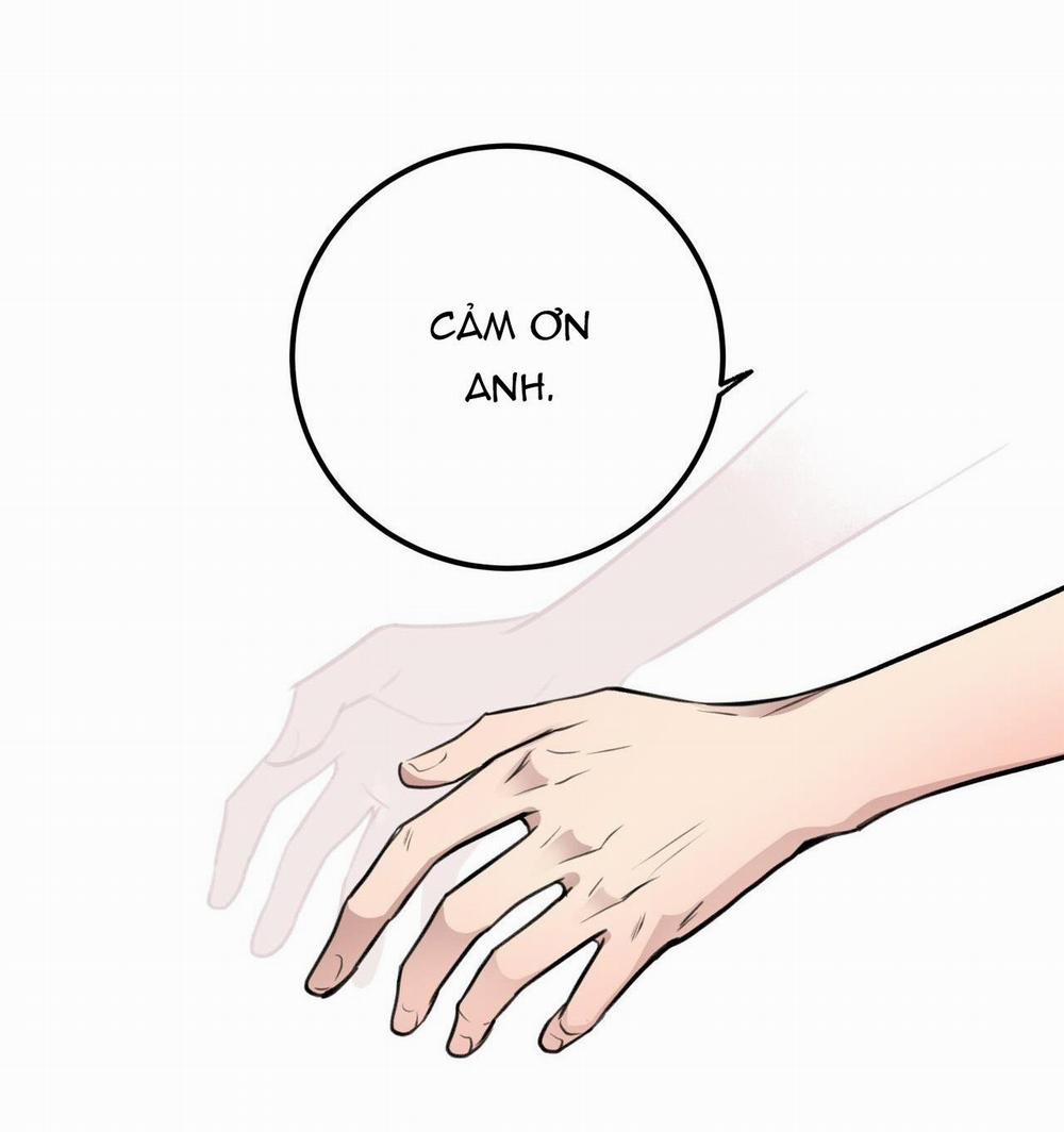 Honey Bear 5 trang 28