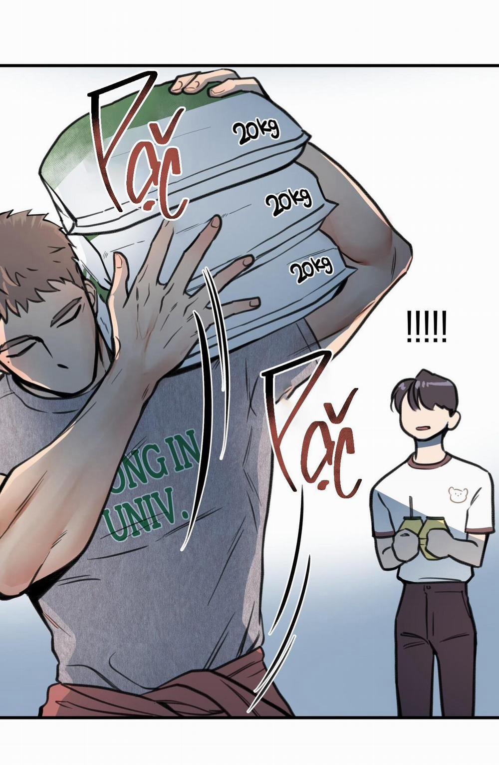 Honey Bear 5 trang 40