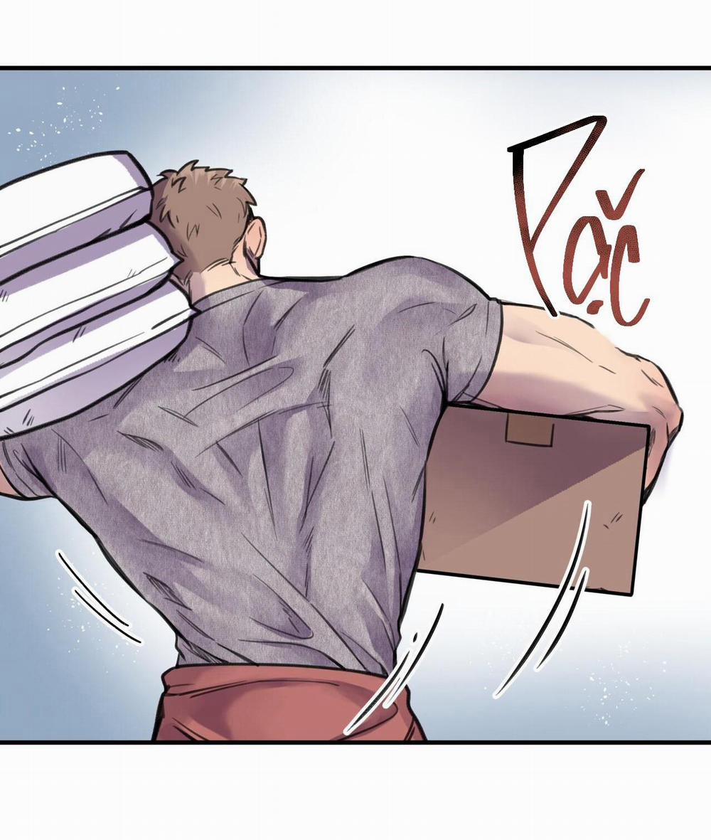 Honey Bear 5 trang 41