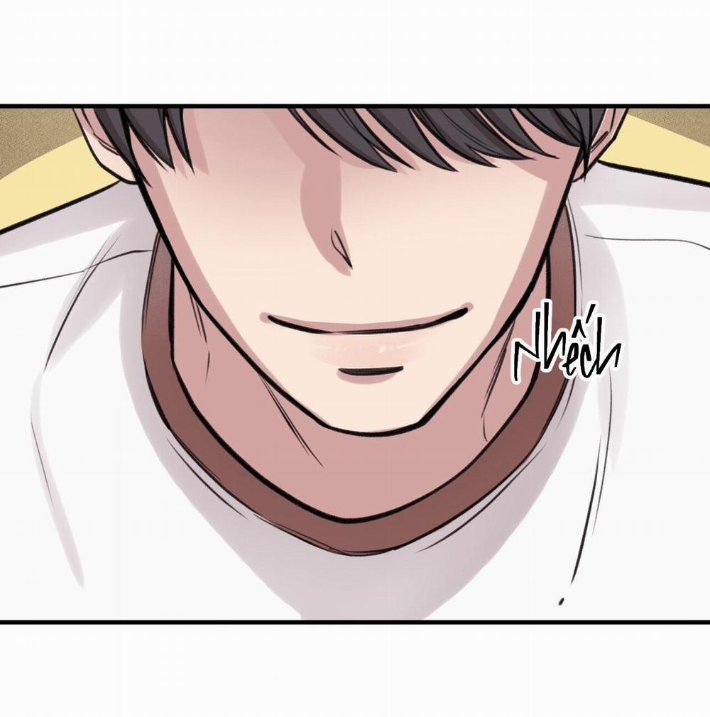 Honey Bear 5 trang 74