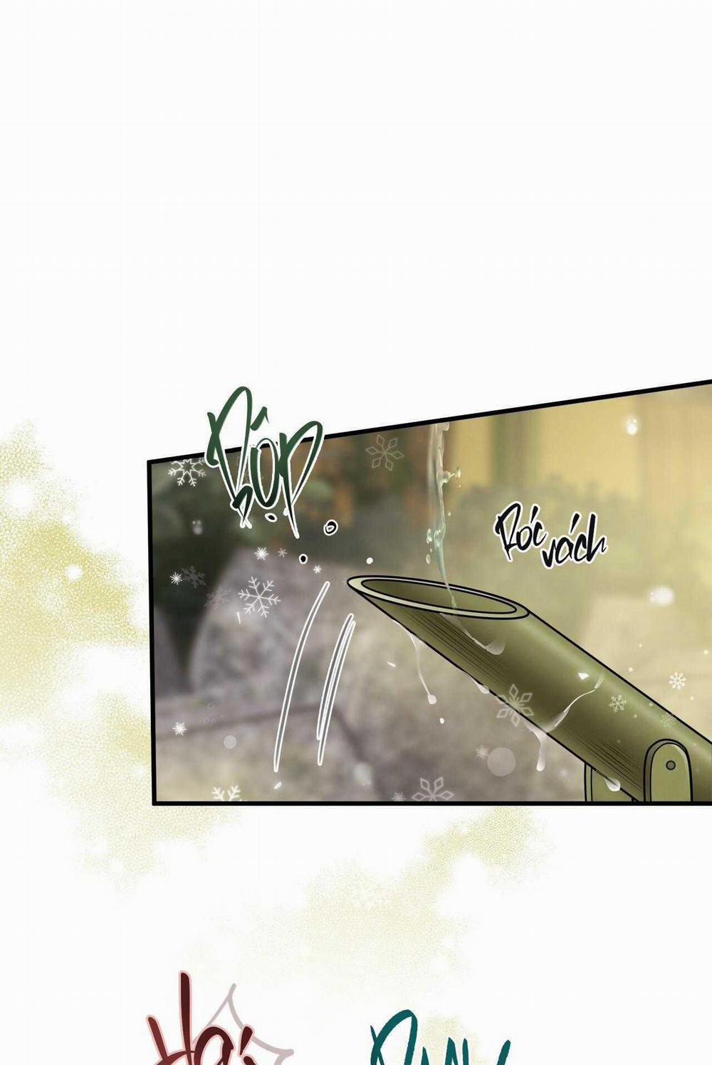 Honey Bear 50 trang 1