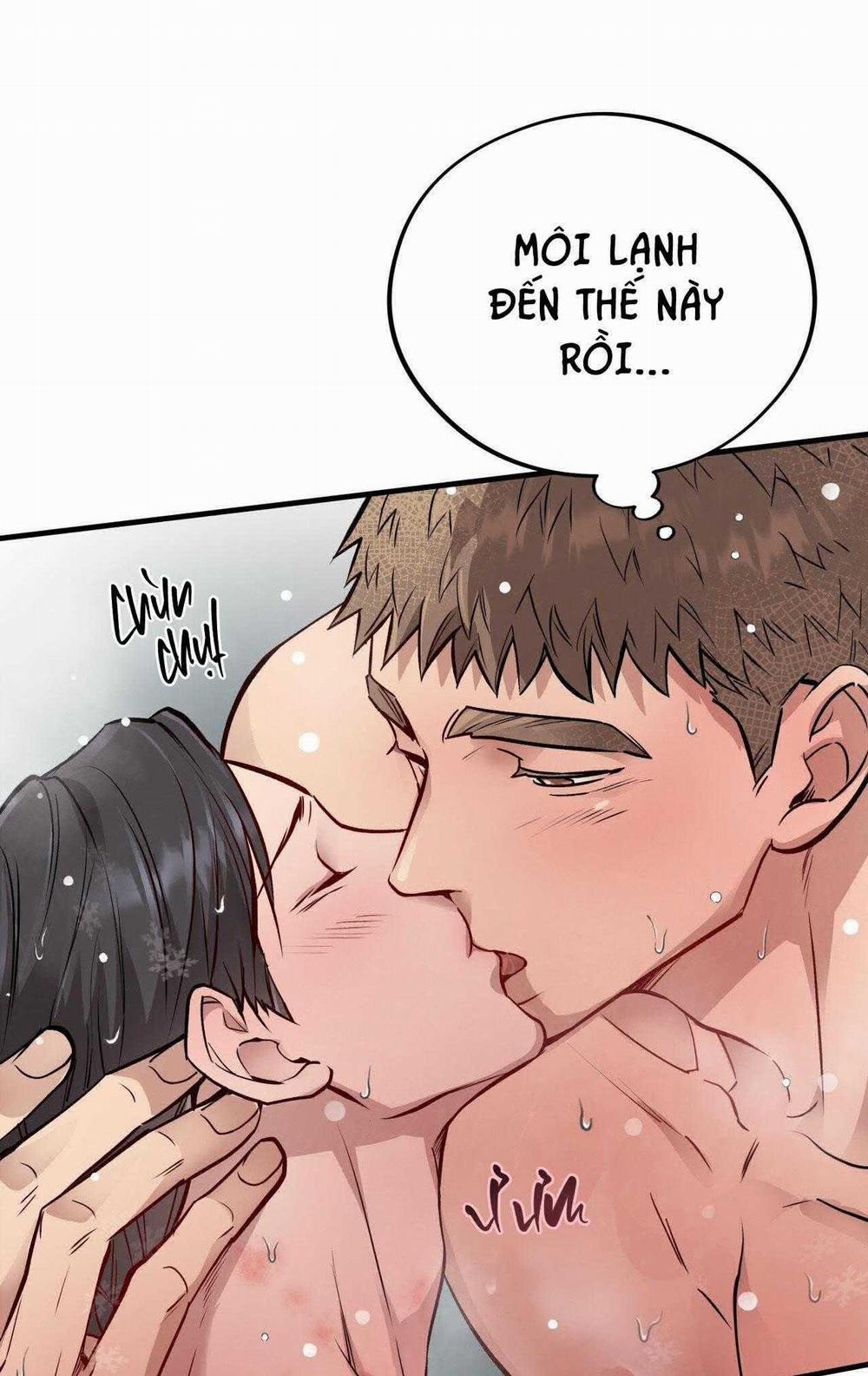 Honey Bear 50 trang 12