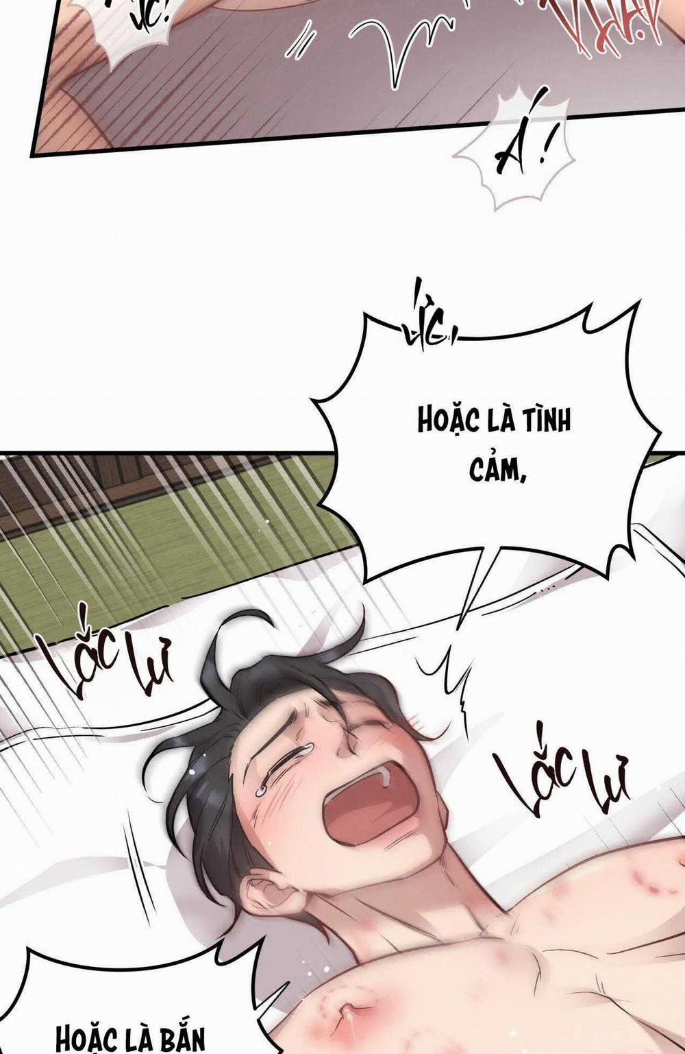 Honey Bear 50 trang 29