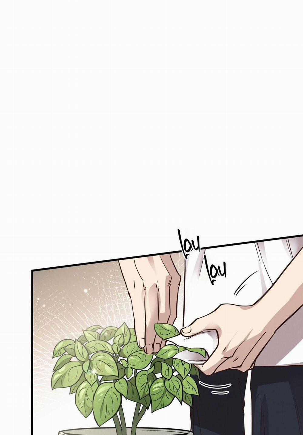 Honey Bear 52 trang 1