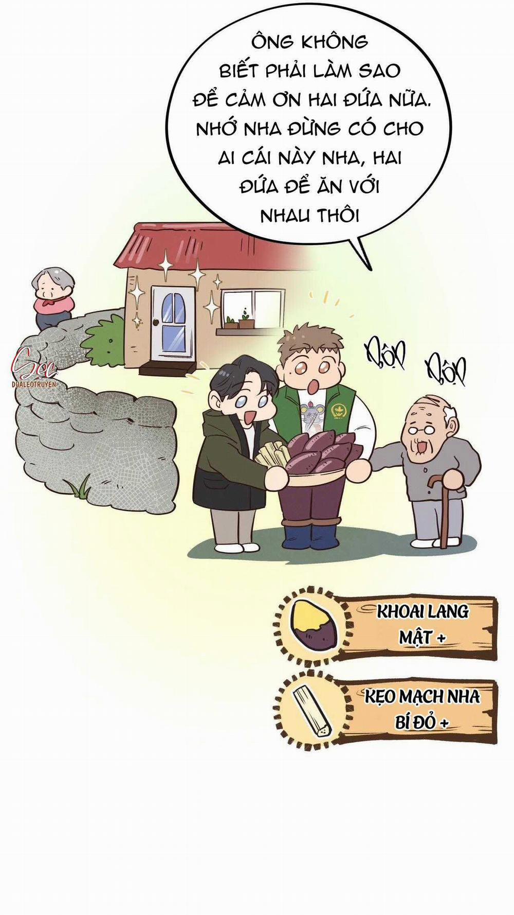 Honey Bear 55 trang 11