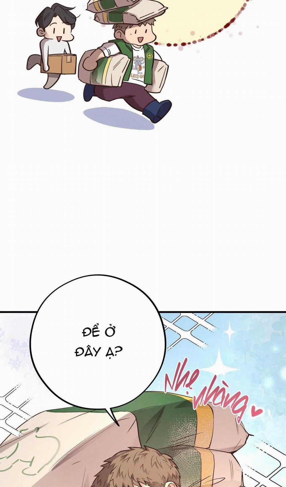 Honey Bear 55 trang 13