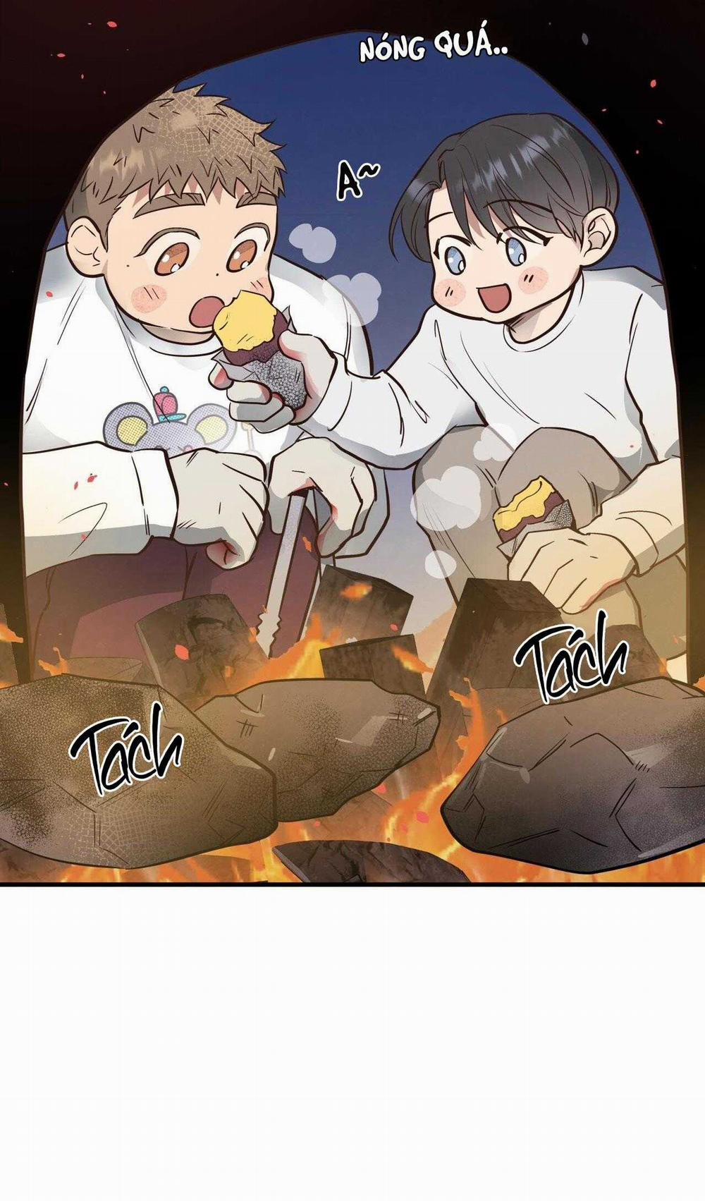 Honey Bear 55 trang 20