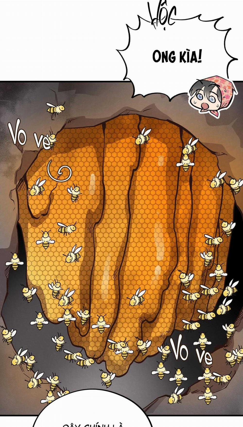 Honey Bear 55 trang 48