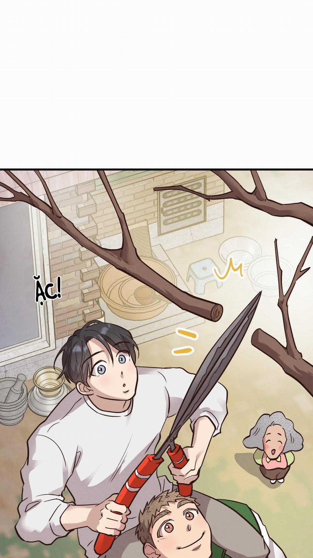 Honey Bear 55 trang 6