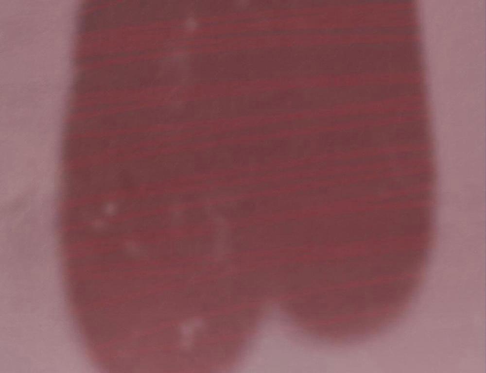 Honey Bear 56 trang 127