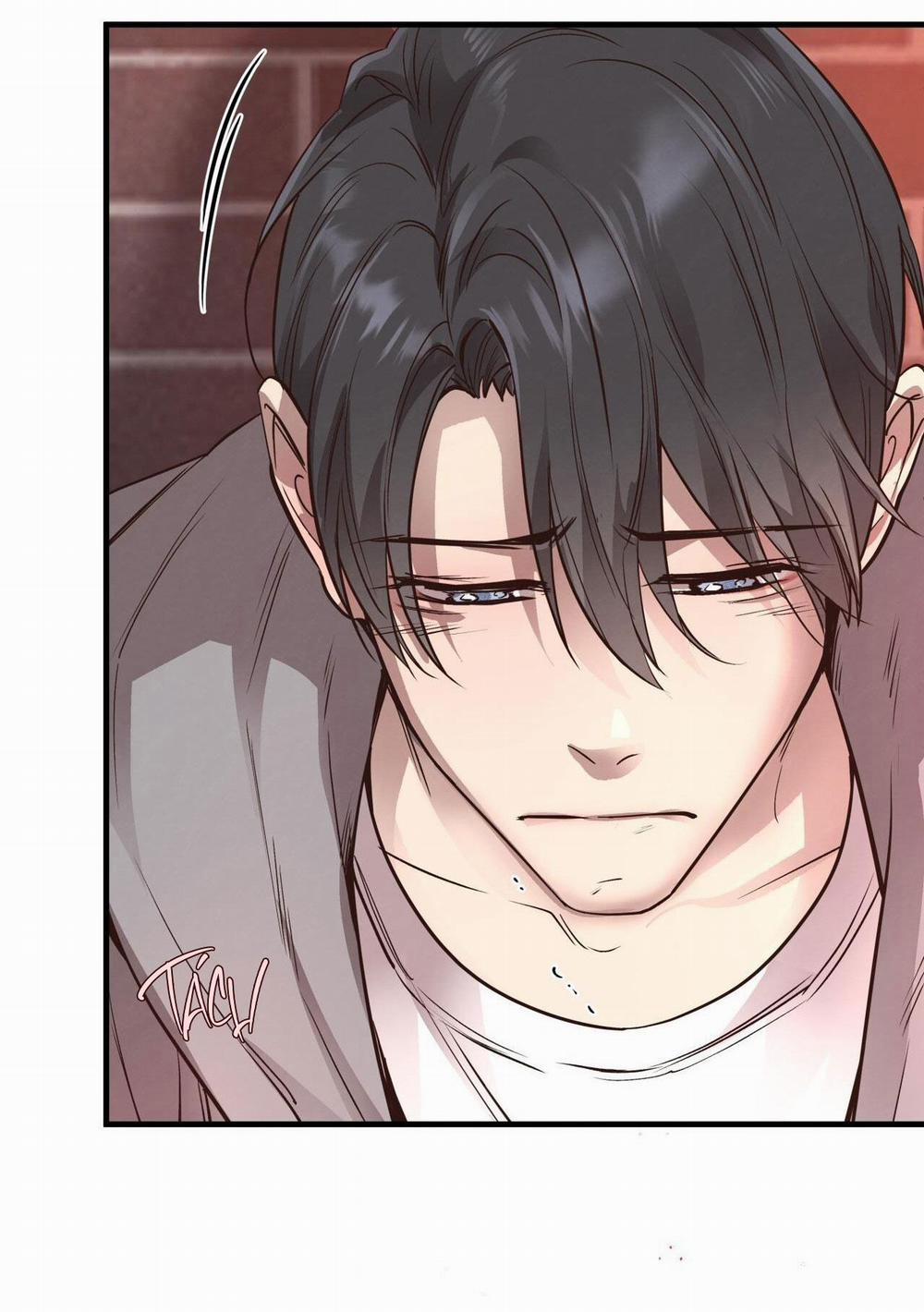 Honey Bear 56 trang 71