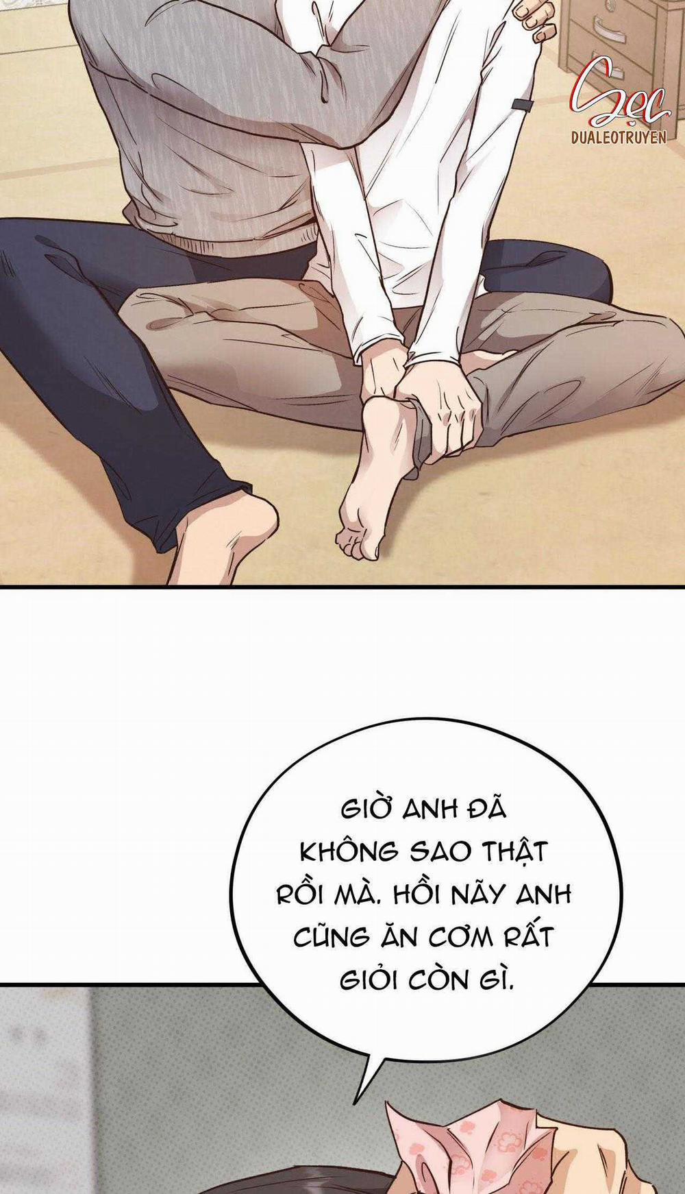 Honey Bear 57 trang 3