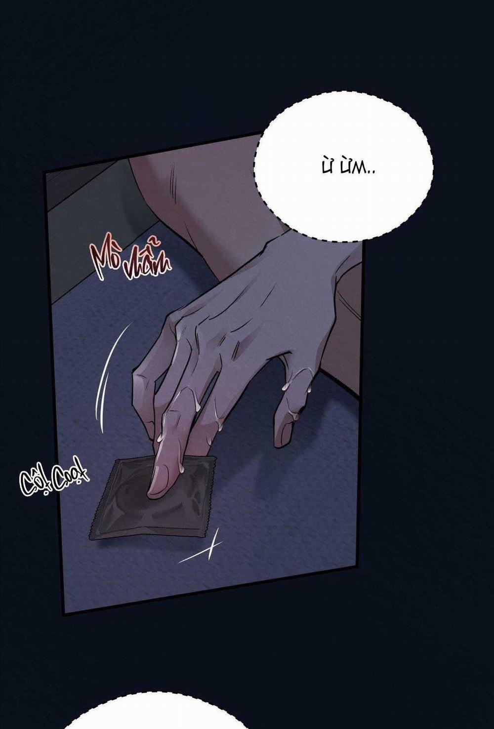 Honey Bear 58 trang 47